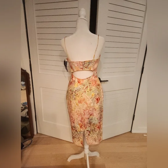 David Meister Body on Lace Cut Out Dress NWT size 6 David Meister Body on Lace Cut Out Dress NWT size 6